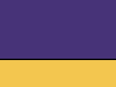 Purple  -Yellow