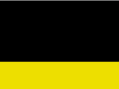 Black  -Fluorescent Yellow