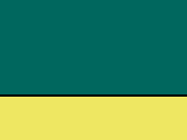 Paramedic Green  -Fluo Yellow