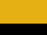 Sport Yellow  -Black