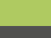 Lime  -Graphite Grey
