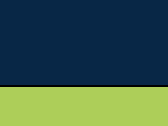 Navy  -Lime